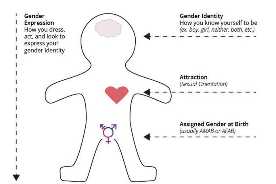Gender Identity, Attraction and Expression.