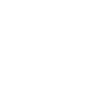 OUR VISION